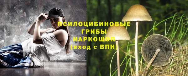 альфа пвп Инсар