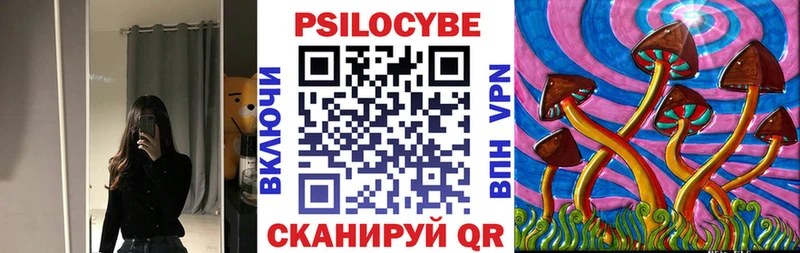 Галлюциногенные грибы Psilocybe  Самара 