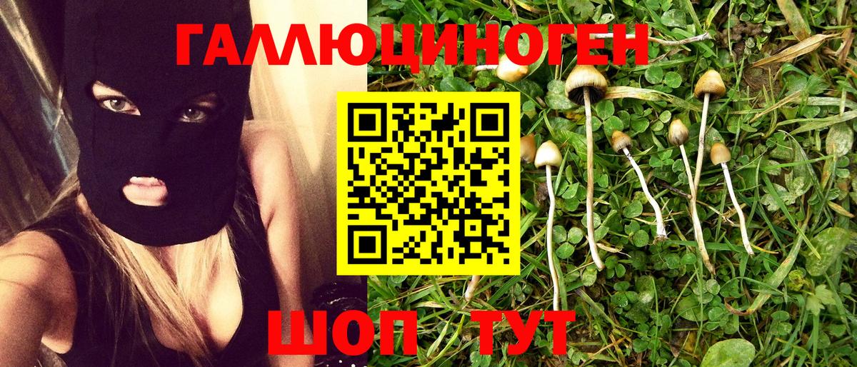 Галлюциногенные грибы Magic Shrooms Россия