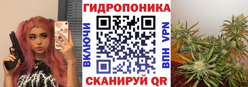 наркотики  Самара  Каннабис Amnesia 